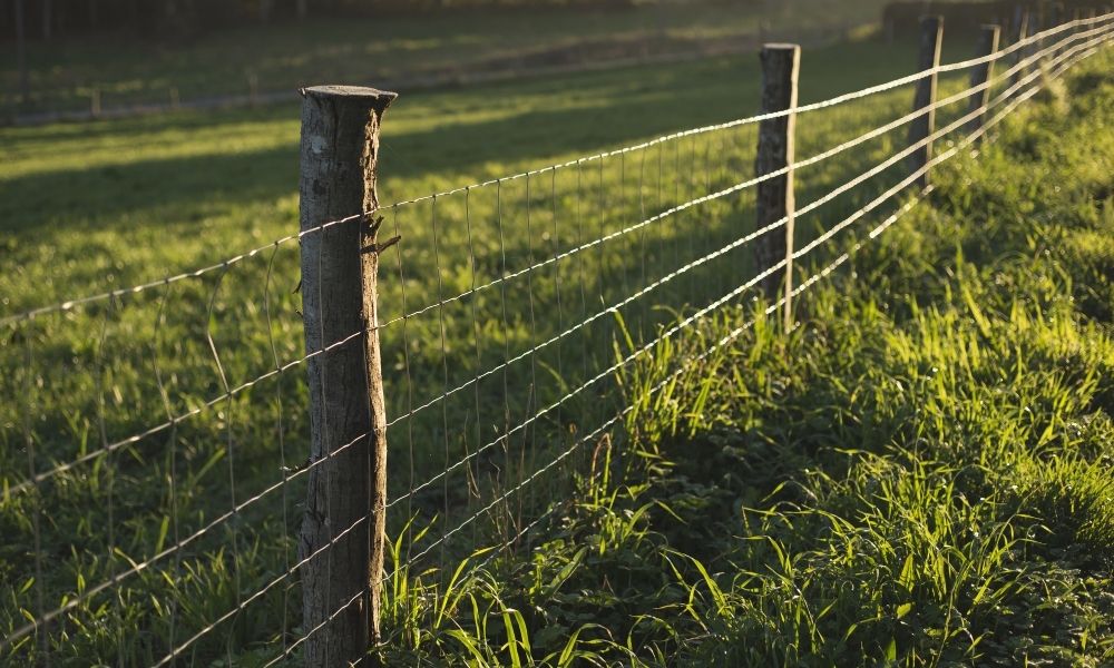 Setting up a Fence Post for Your Fencing Staples cats claw fasteners