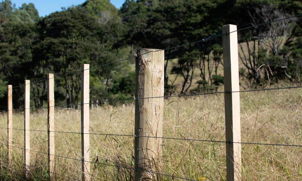 The Different Types of Wire Fencing and How To Care for Them
