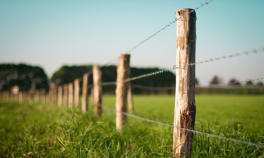 The Different Types of Wood for Wire Fencing: Which Is Best?