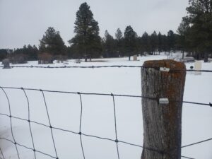 The Best Fencing Options for Your Homestead snowy fence