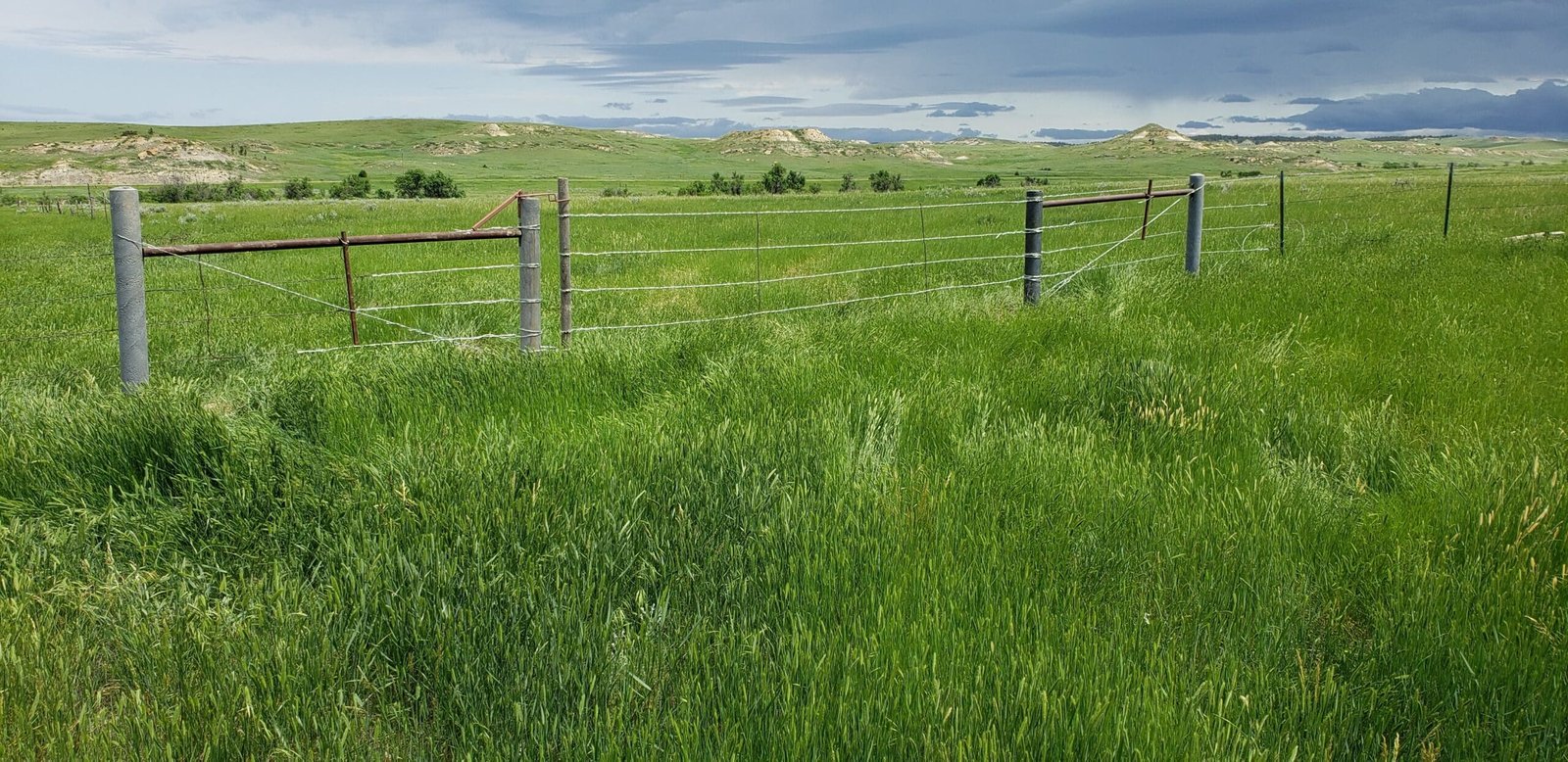 Building Your Fence: 5 Things to Know