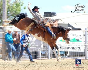 Josh Davidson, A cowboy riding a horse in his rodeo