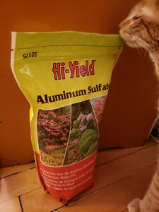 Ronnie inspecting a bag of Hi-Yield Mineral Bag from Ace Hardware to be used for a garden bed