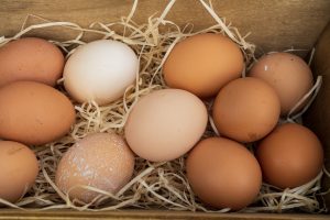 Raising chickens for home grown eggs