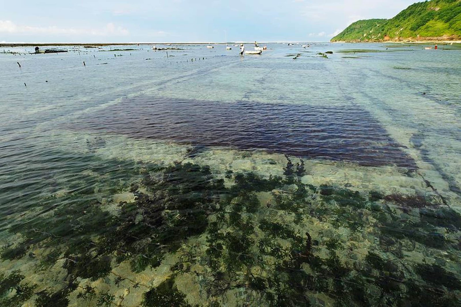 Seaweed Farm: The Importance of Fencing Hardware