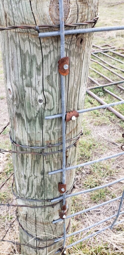 Wire Fence Staples for Joining Cages