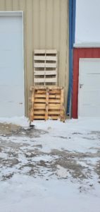 Free recycled lumber raised garden beds 