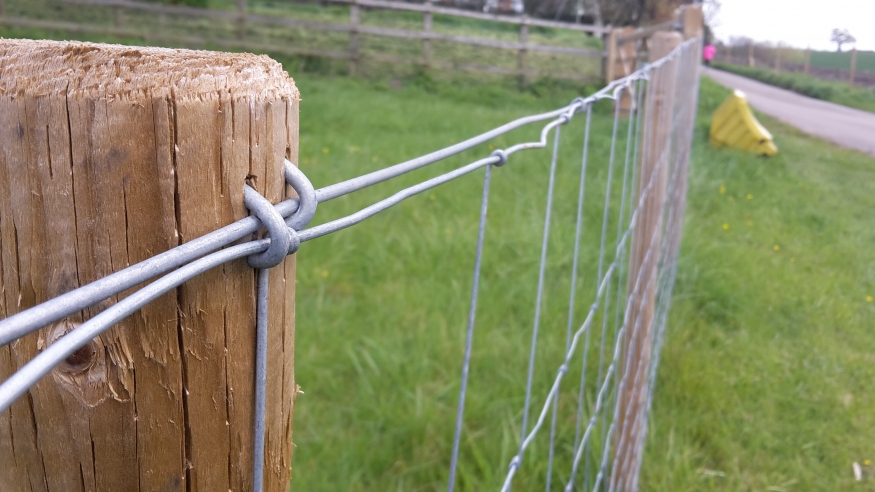 Galvanized Steel Fence Staples