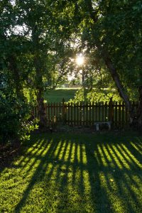 Garden Fence Border: Elevate Your Outdoor Haven